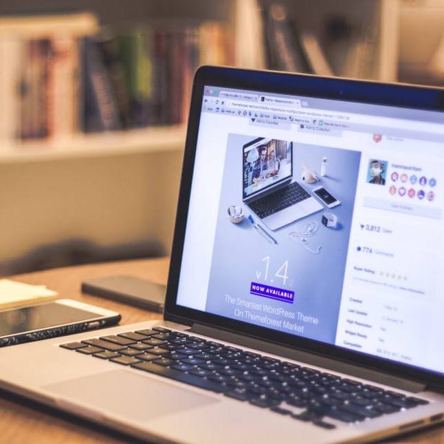 WordPress Theme Updates